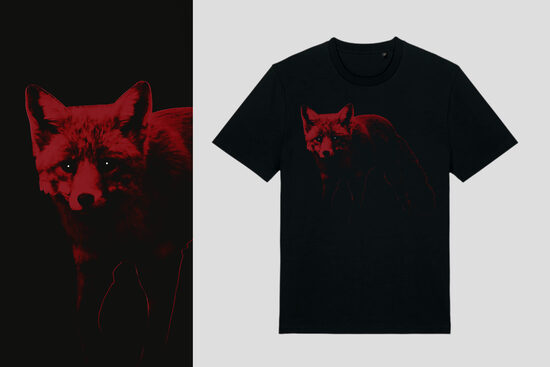 Prodigy Red Fox